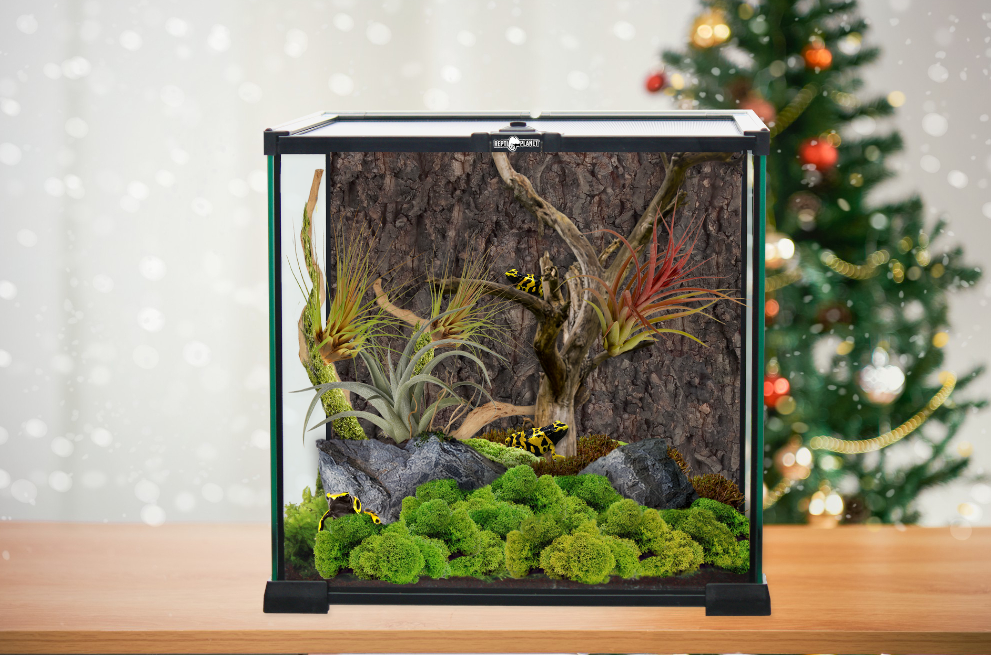 Repti Planet REPTI PLANET terrarium szklane 30x30x45cm