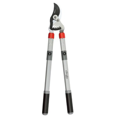 DEDRA Sekator teleskopowy nożycowy aluminiowy do gałęzi By Pass 80A022