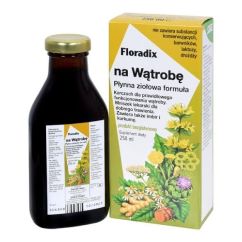 Salus-Haus Floradix na Wątrobę 250 ml TT002296