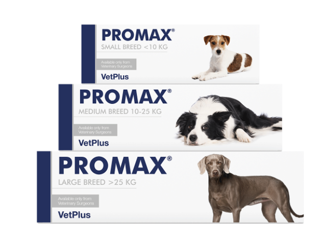 Vet Plus Limited VETPLUS Promax probiotyk dla psów dużych ras 30ml
