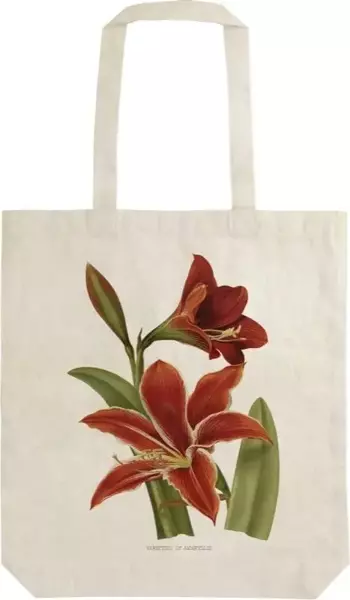 Skona Ting Torba bawełniana STBAG37 Amarylis Shopperka - Skona Ting