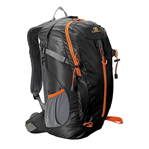 TravelSafe Plecak miejski/dzienny z dodatkami (czarny)