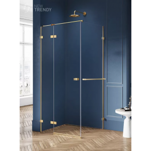New Trendy EXK-3012 KABINA AVEXA GOLD PROSTOKĄTNA L 80x90x200 CZYSTE 6mm ACTIVE SHIELD