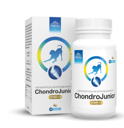 FOR HEALTH ChondroLine ChondroJunior 120 tab 54175-uniw