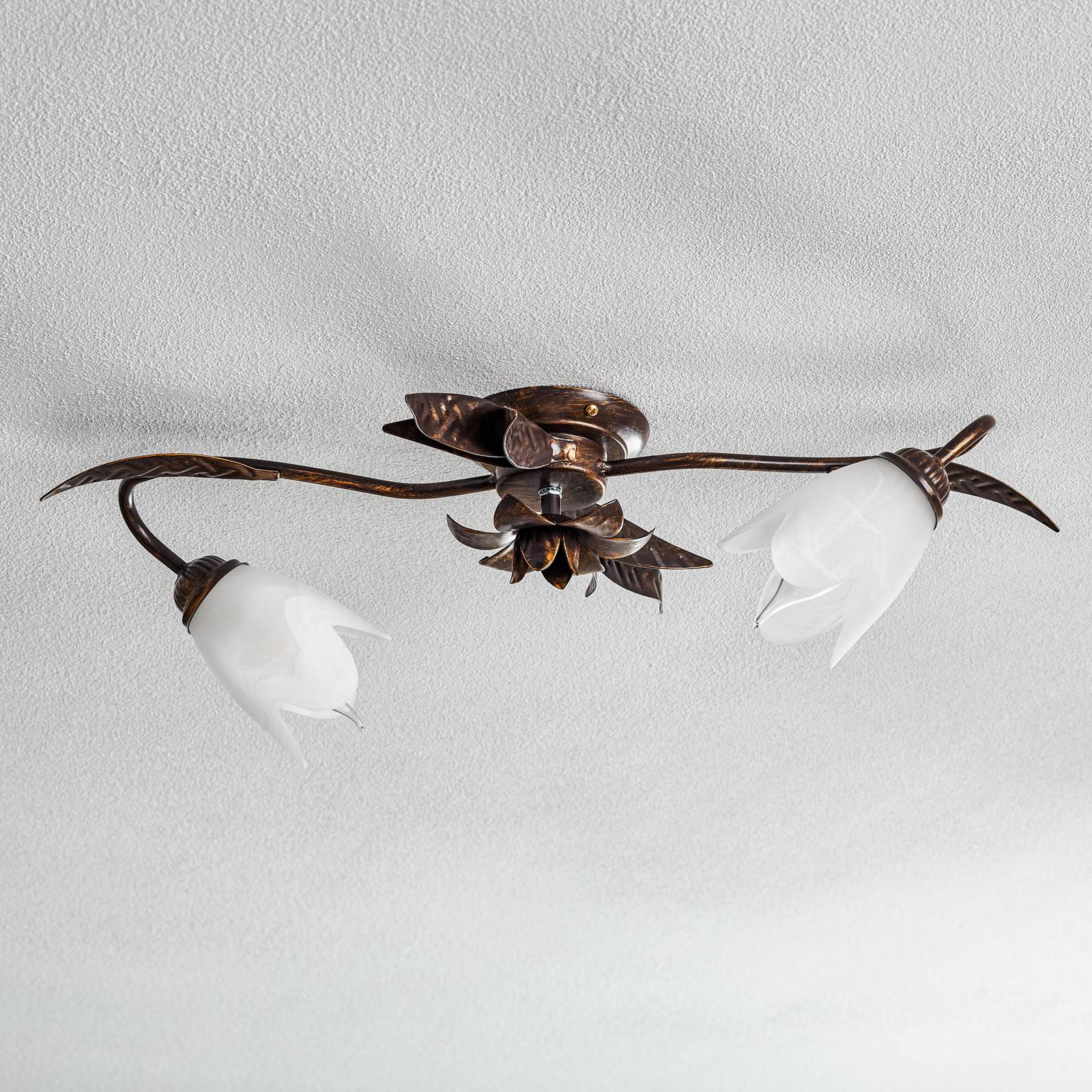 Lampa sufitowa Sonia 2-punktowa, brązowa
