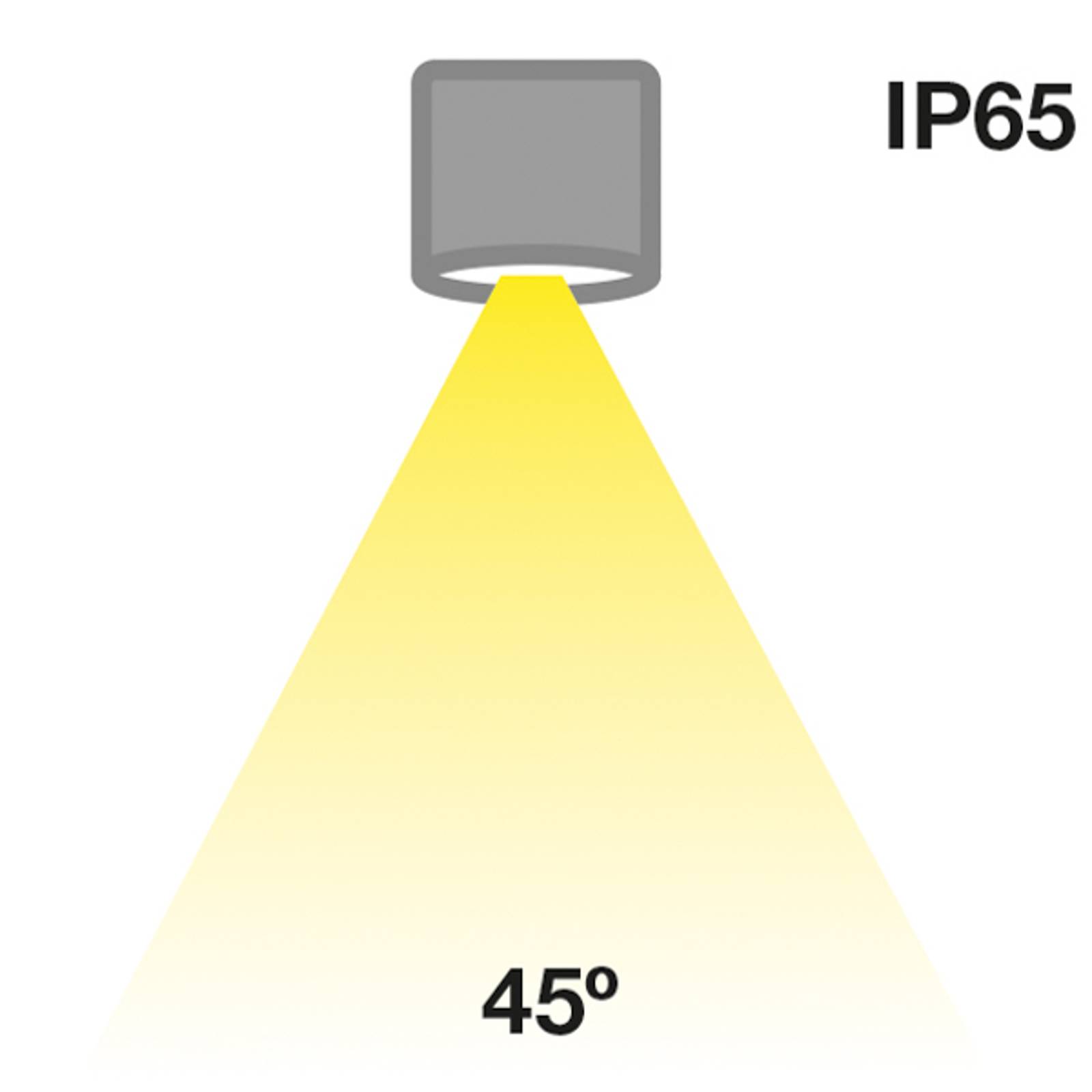 Downlight The Light Group SLC MiniOne Fixed LED IP65 czarny 930