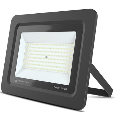Forever Light Naświetlacz LED PROXIM II 100W - biały zimny RTV003623