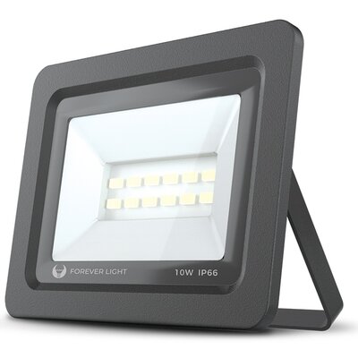 Forever Light Naświetlacz LED PROXIM II 10W - biały zimny RTV003608