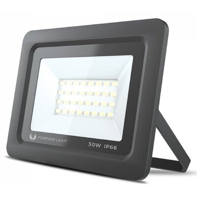 Forever Light Naświetlacz LED PROXIM 30W - biały zimny RTV003616
