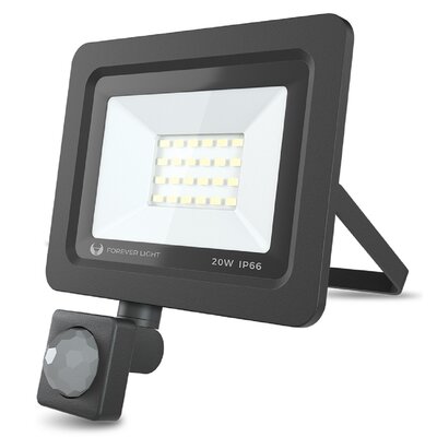 Sport Light Forever Light LED FOREVER LIGHT RTV003611 RTV003611