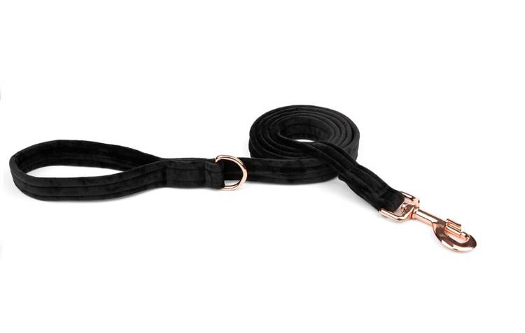 Haas F1 Team Esme for Dog Esme For Dog dla psa welurowa onyx 150cm/2,5cm