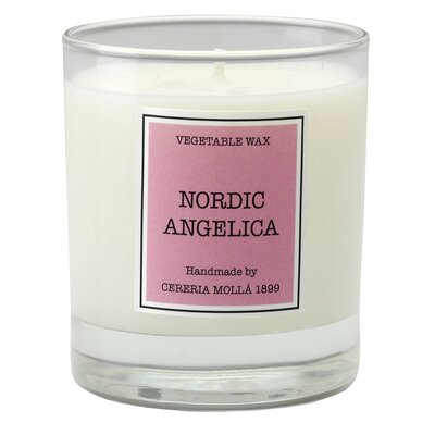 CERERIA MOLLA Świeca Santiago 230 gr. Nordic Angelica - CERERIA MOLLA B3-IMP-CM-5503