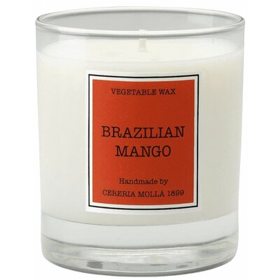 CERERIA MOLLA Świeca Santiago 230 gr. Brazilian Mango - CERERIA MOLLA B3-IMP-CM-5506