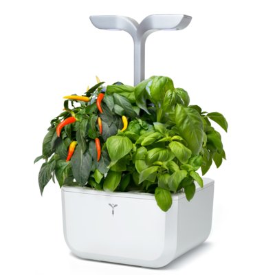 Blumfeldt Veritable Veritable Exky Smart Arctic White VEXK-SAWAS-FR-40