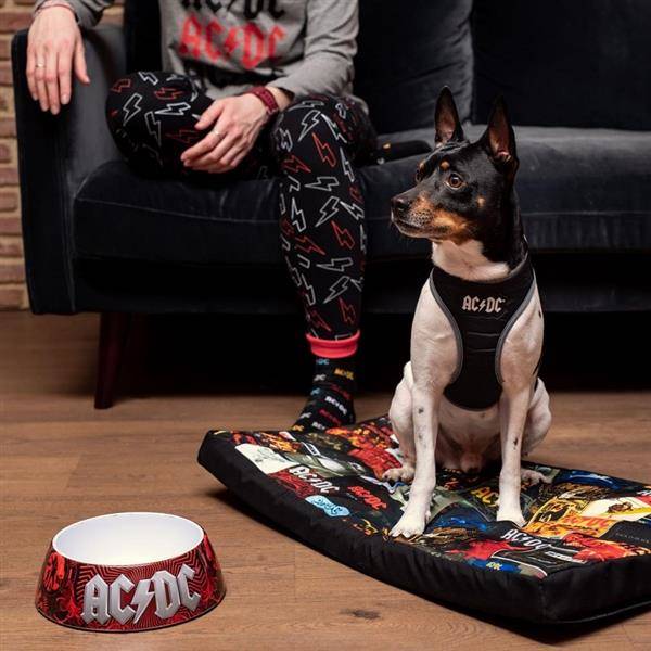 For fan pets Mata AC/DC S