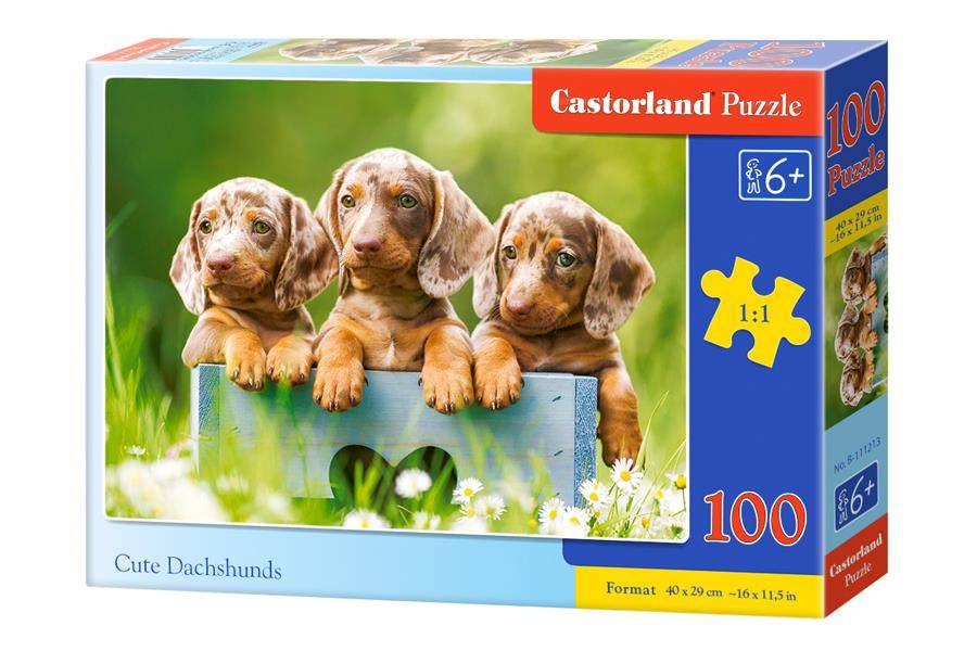 Castorland Puzzle 100 Słodkie jamniki CASTOR -