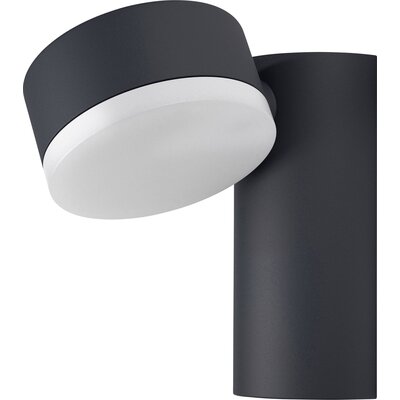 LEDVANCE LED Kinkiet zewnętrzny ENDURA LED/8W/230V IP44