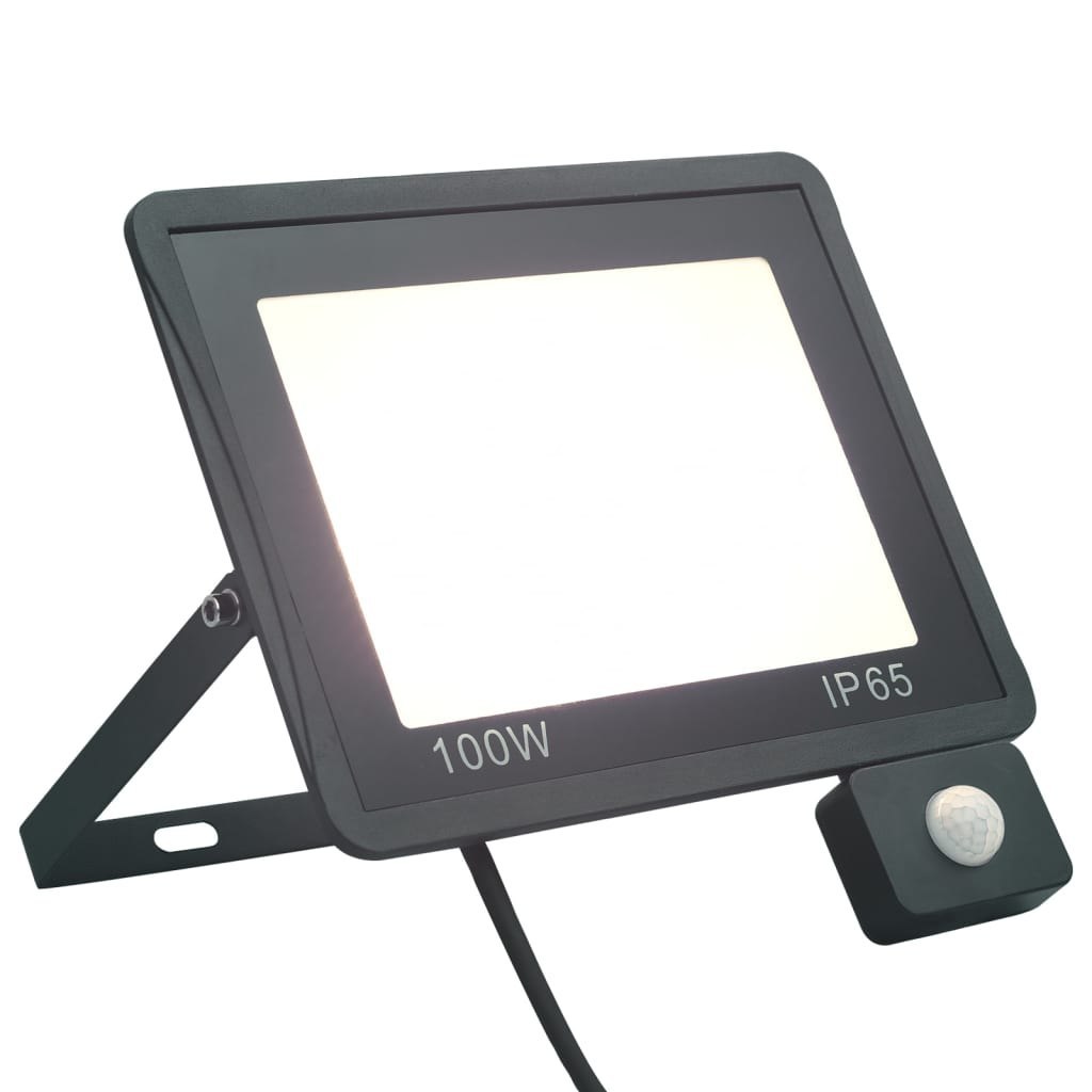 Epistar Naświetlacz vidaXL LED z czujnikiem 100 W zimne białe światło 149632