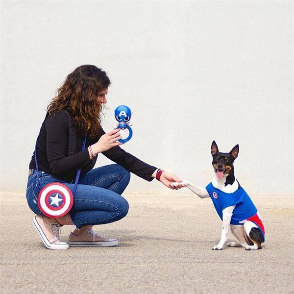 Disney Gryzak Avengers Capitan America zabawka dla psa