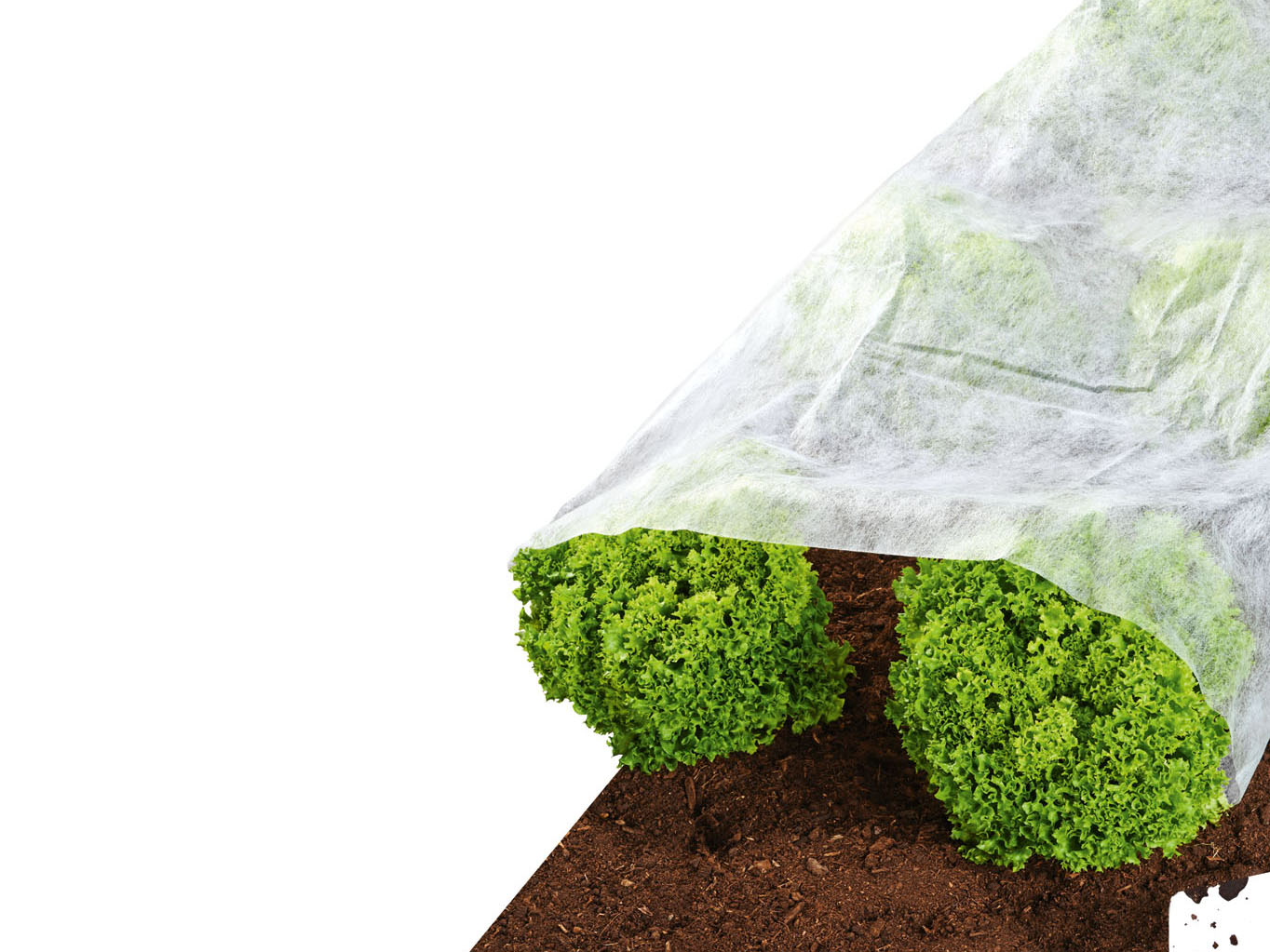 PARKSIDE PARKSIDE Agrowłóknina ogrodowa, 10 x 1,5 m 4055334594516