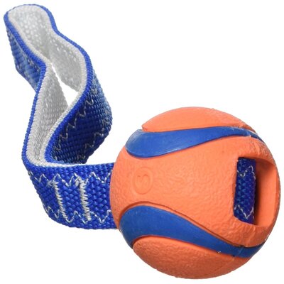 Chuckit! ULTRA TUG SMALL 231101)