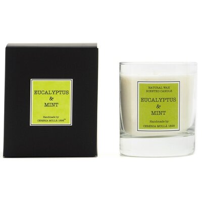CERERIA MOLLA Świeca zapachowa CERERIA MOLLA Eucalyptus & Mint 230 g
