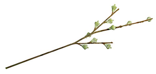 Rayher 55919000 gałązka owoców eukaliptusa, 40 cm, sztuczne kwiaty, normalna