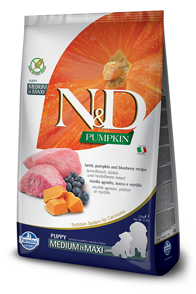 Farmina N&D Pumpkin Grain Free canine LAMB & BLUEBERRY PUPPY MEDIUM & MAXI 12kg + BAYER Kiltix Obroża dla psów dużych dł, 70cm