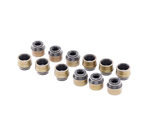 REINZ Zestaw uszczelniaczy, trzonek zaworu 12-31306-08