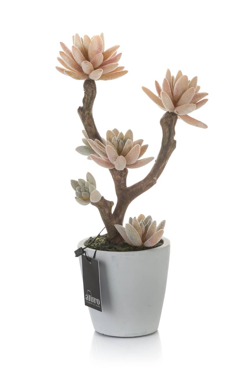 Roślina sztuczna - kaktusy na drzewie_Aluro