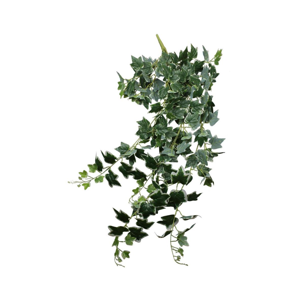 SPLENDID Bluszcz sztuczna gałązka 100cm