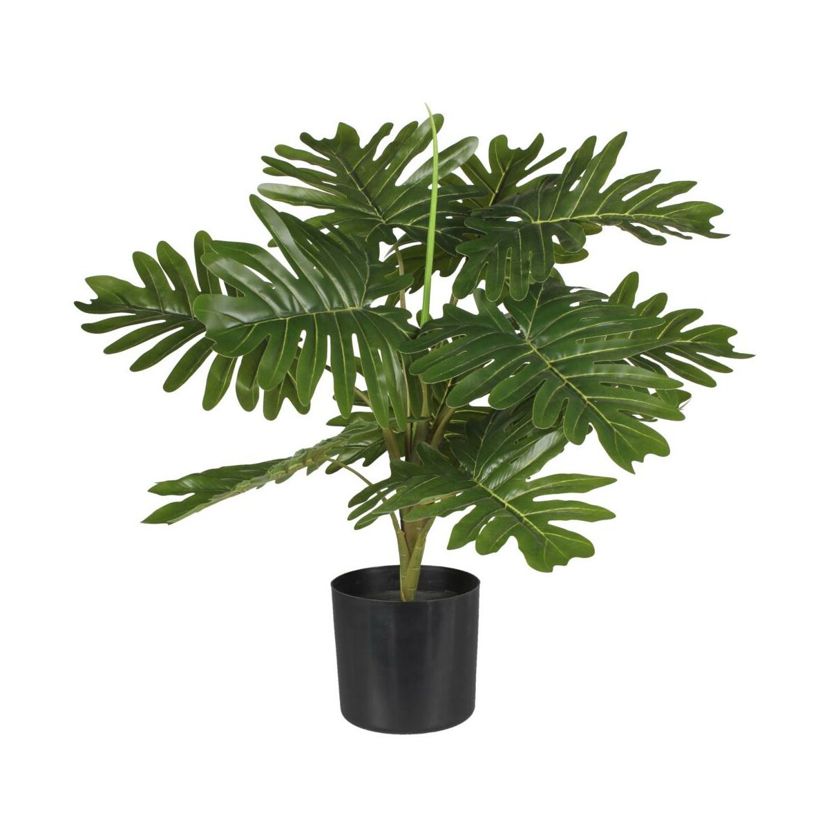 SPLENDID Filodendron sztuczny 55cm w doniczce