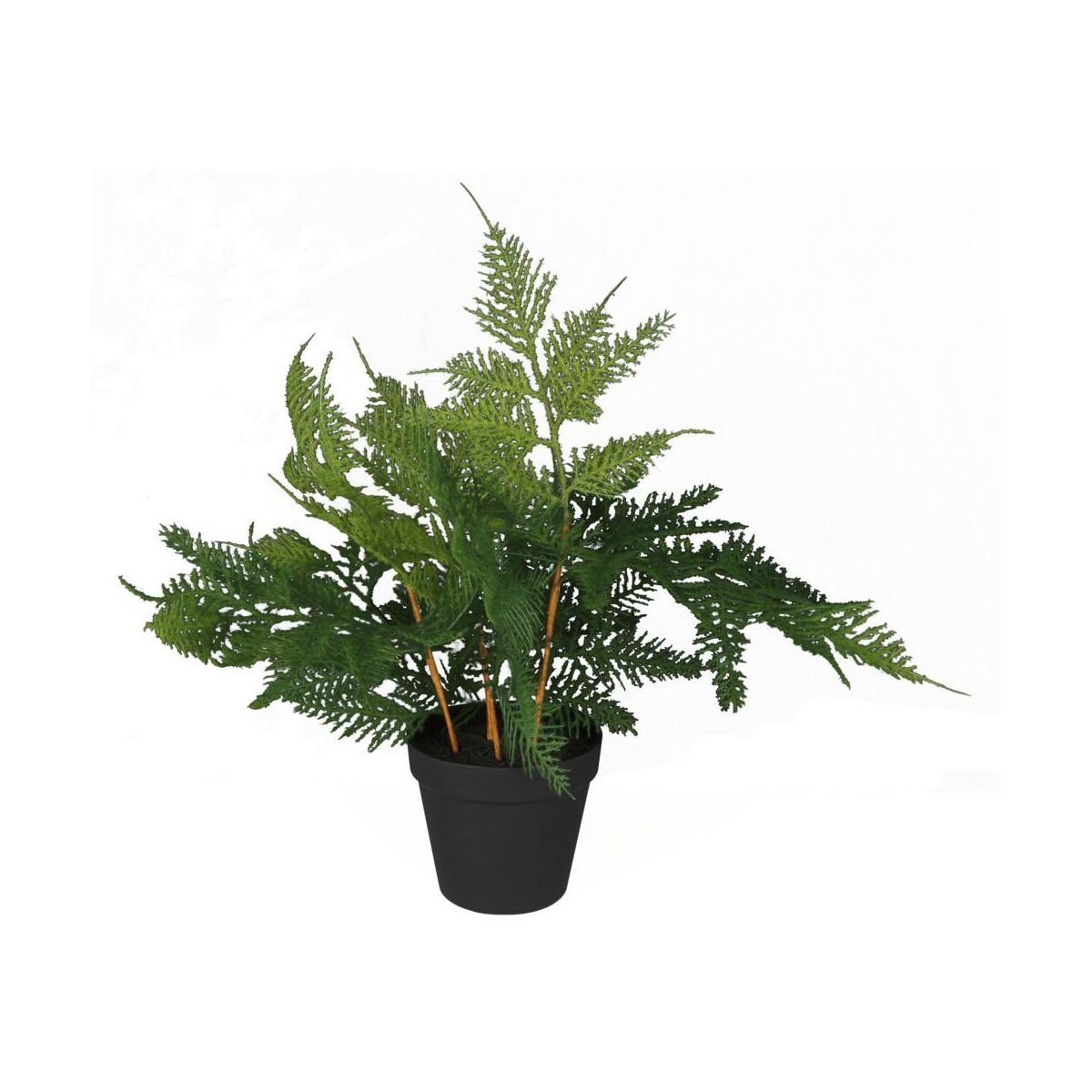 SPLENDID Asparagus sztuczny 45cm w doniczce