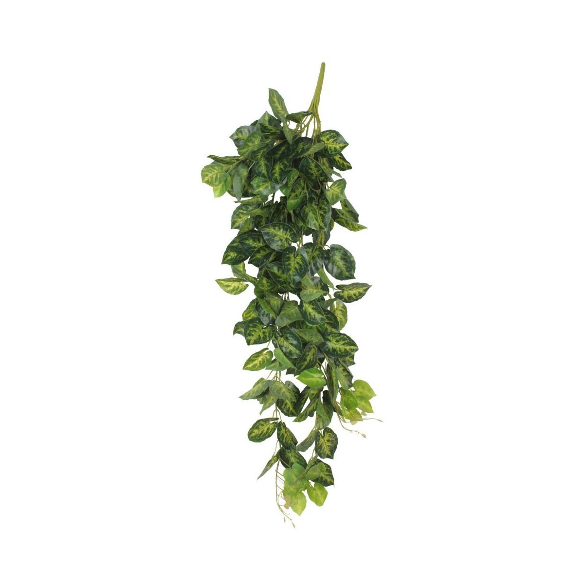 SPLENDID Varuegata sztuczna gałązka 100cm