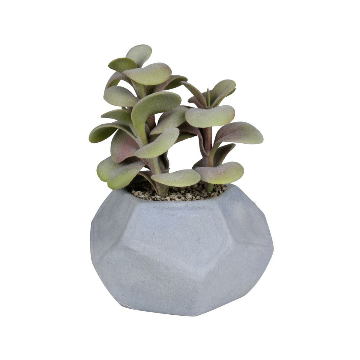 SPLENDID Grubosz sztuczny 17cm w doniczce
