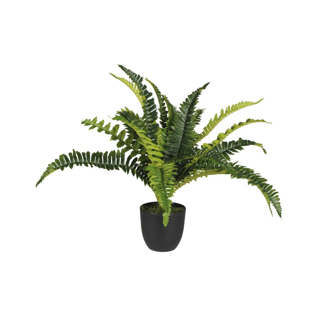 SPLENDID Paproć sztuczna 38cm