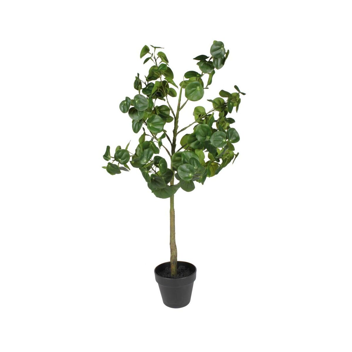 SPLENDID Pilea sztuczna 90cm w doniczce