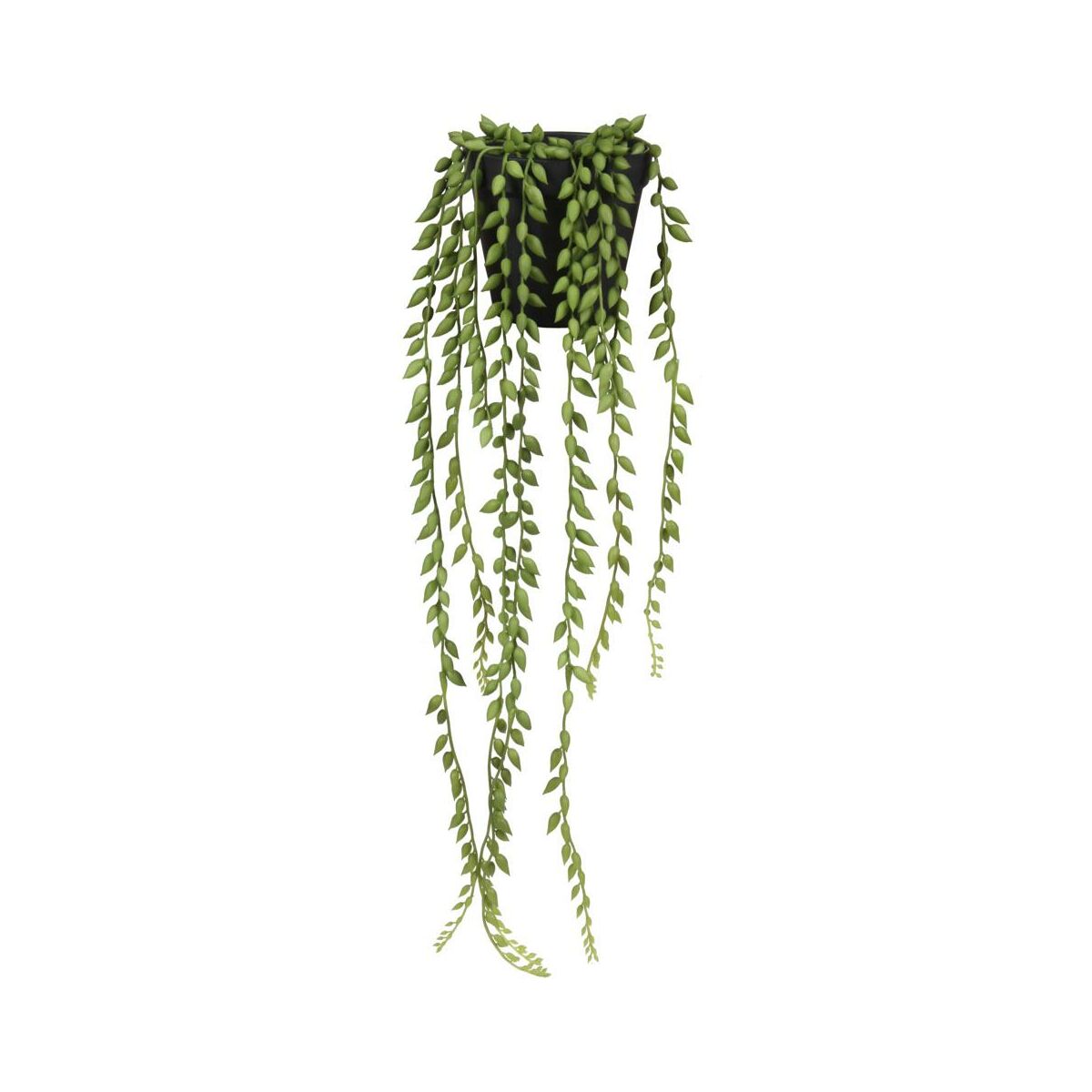 SPLENDID Senecio sztuczne 52cm w doniczce