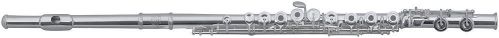 Roy Benson Roy benson flet poprzeczny FL-602re, w zestawie: etui drewniane z torba RB700434