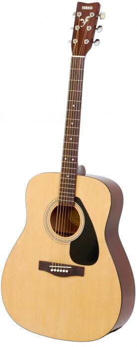 Yamaha F310