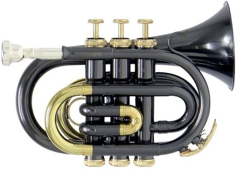 Roy Benson Roy benson kieszenie na BB-trąbki Mod.PT-101 K lakierowany na czarno, w zestawie: etui RB701002