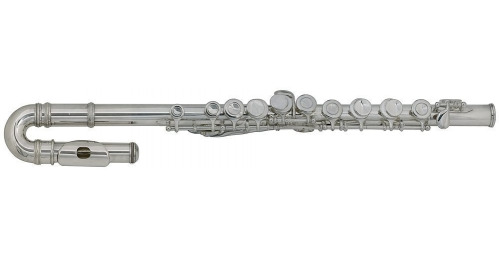 Roy Benson Roy benson dzieci flet poprzeczny FL-102, łącznie z lekkim prostokąt Kabura RB700390