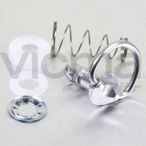 Pro-Bolt LQRCLIP17 aluminiowy szybkozłączka D-ring, 17 mm, srebrny