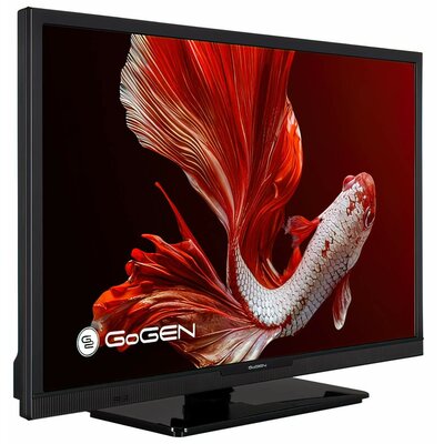 Gogen TVH 24P452T