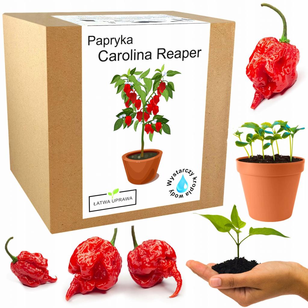 Zestaw do Uprawy Carolina Reaper HP22B Red nasiona