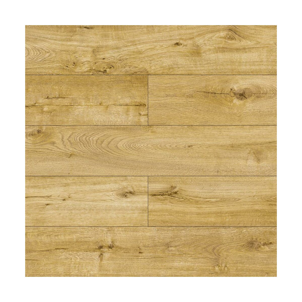 Panele podłogowe laminowane Dąb Almirante AC6 10 mm Promo Flooring