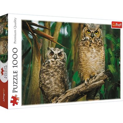 Trefl Puzzle 1000 elementów Sowy