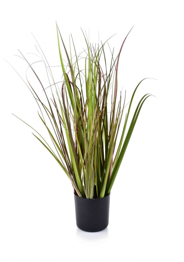 Kwiat sztuczny trawa w doniczce h55cm HTQB9092 5 Mondex