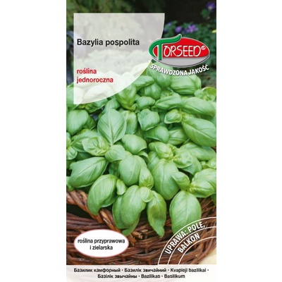 TORSEED nasiona BAZYLIA POSPOLITA ZIELONA GENOVESE 0,5 G