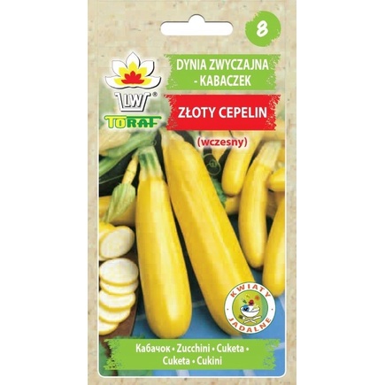 Toraf Nasiona Kabaczek Złoty Cepelin 5g